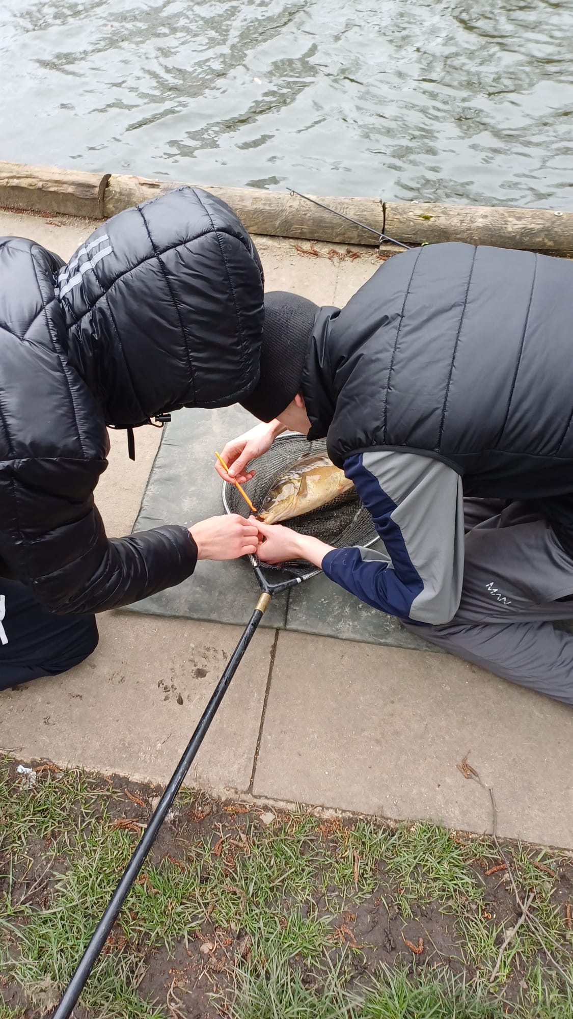 photo 2026 03 12 11 10 31