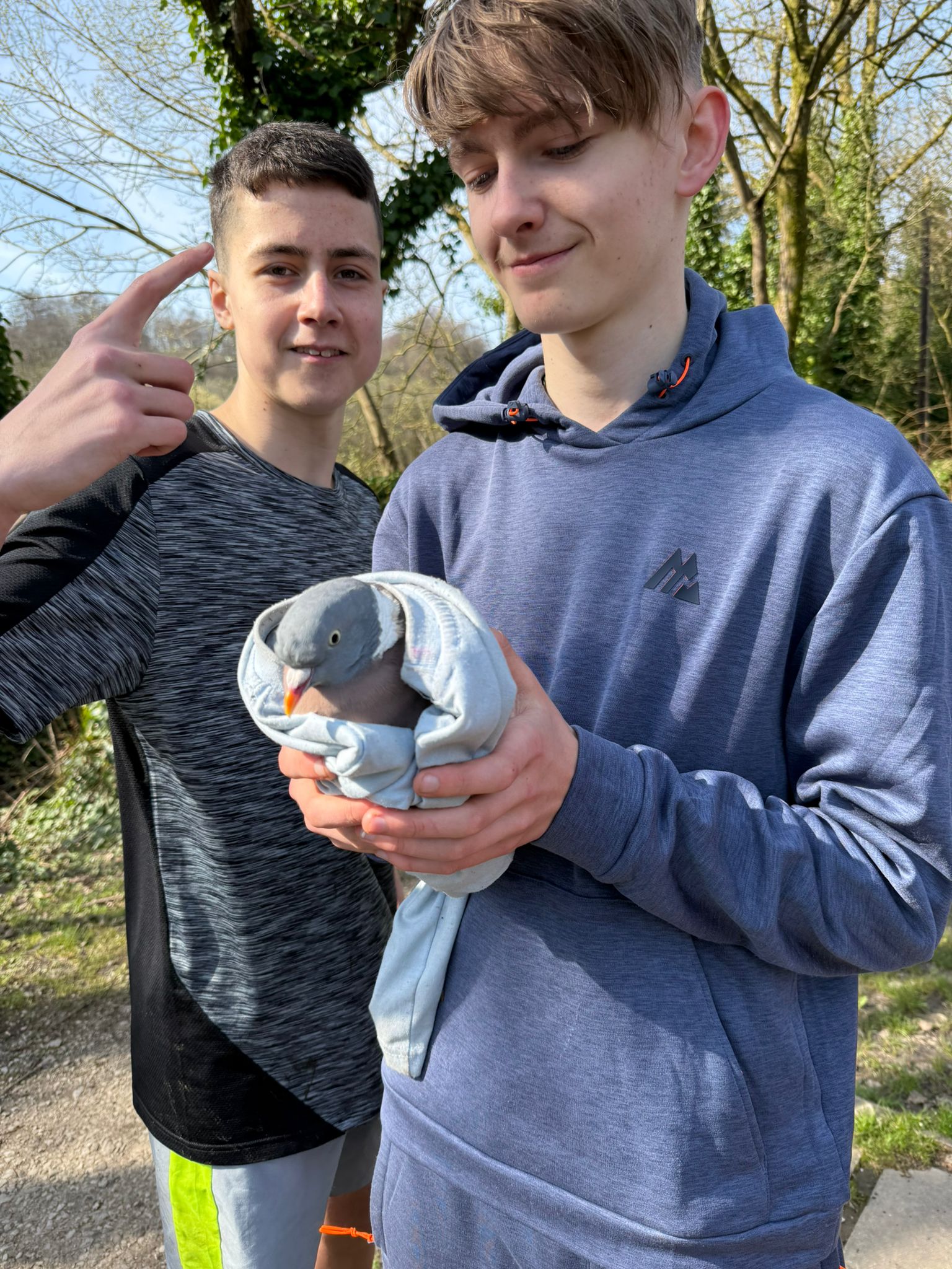 photo 2026 03 19 12 46 26