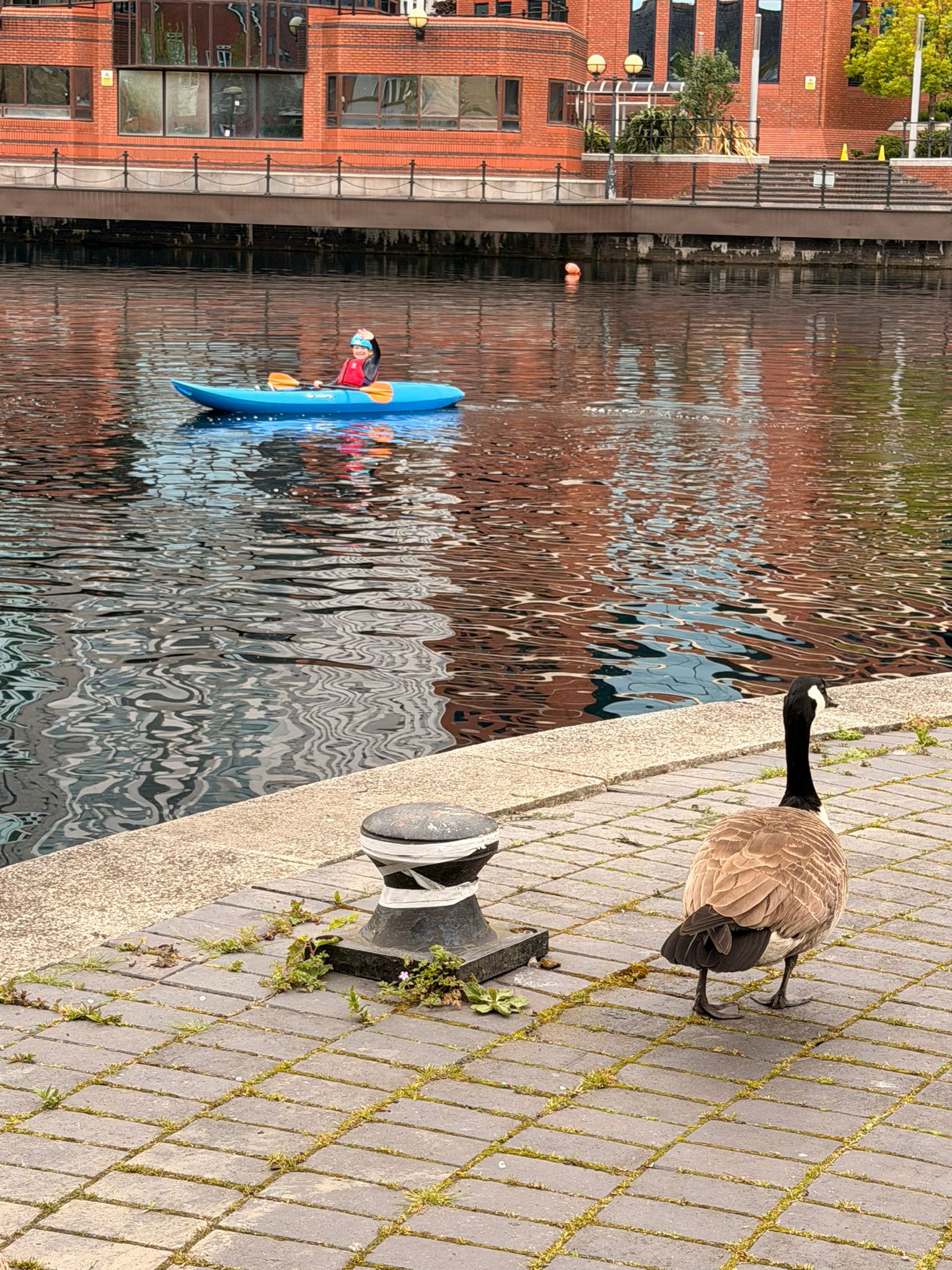 photo 2026 05 07 11 19 48