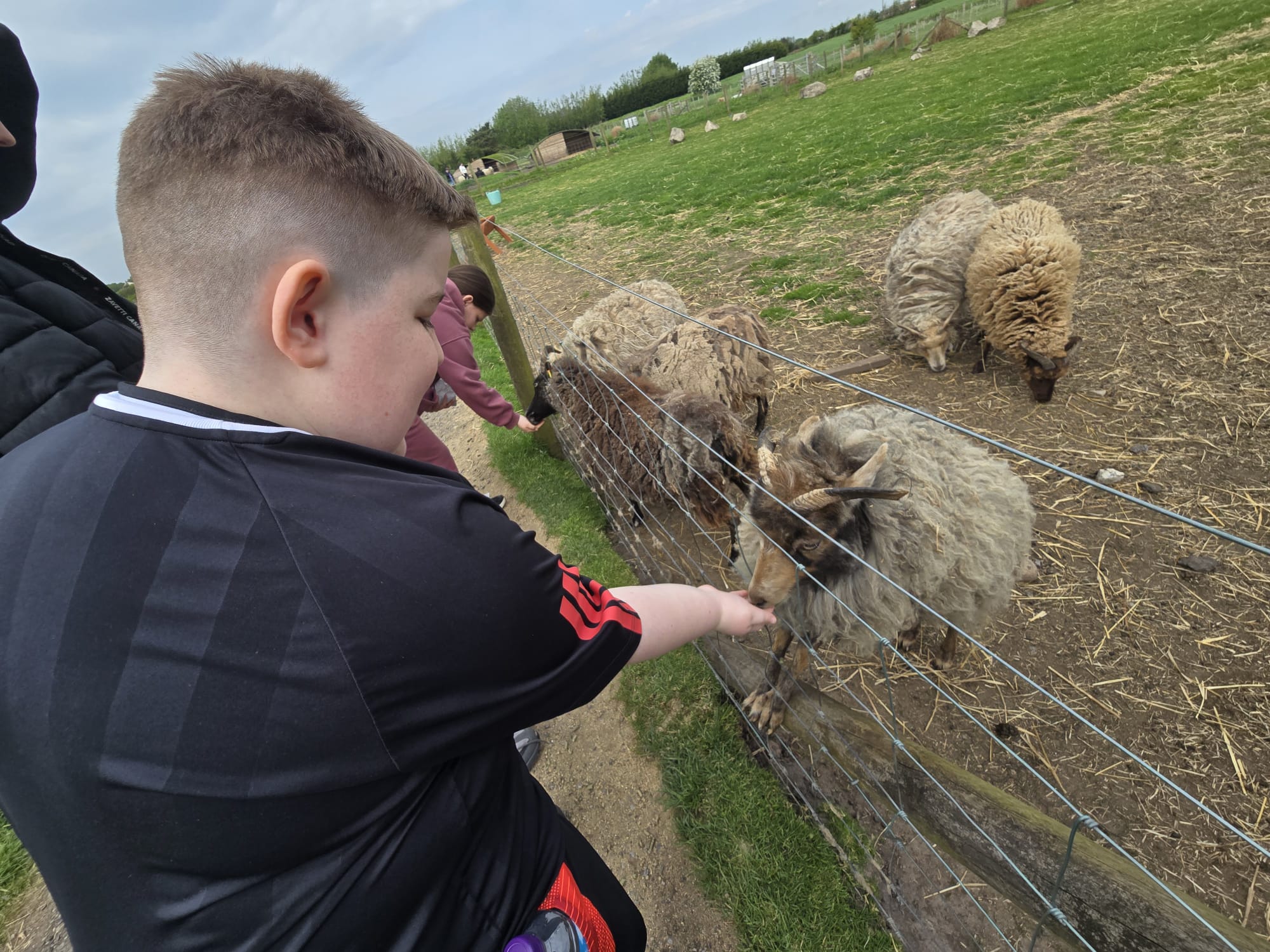 photo 2026 05 08 11 42 22